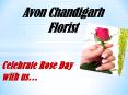 Online Rose Day Flowers delivery by Chandigarh Florist PowerPoint PPT Presentation