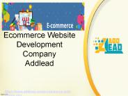 Ecommerce Websites Development Company Delhi (1)