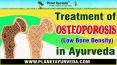 Treatment of Osteoporosis ( Low Bone Density) in Ayurveda - Increase Your Bone Density Naturally PowerPoint PPT Presentation