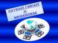 Software Company in Bhubaneswar (2) PowerPoint PPT Presentation