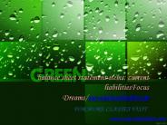 balance sheet statement items: current liabilitiesFocus Dreams/tutorialoutletdotcom