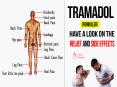 Tramadol ( Painkiller )- Have a look on the relief and side effects PowerPoint PPT Presentation