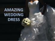 Amazing Wedding Dress Collection