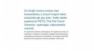 Przewóz zwierząt do Anglii