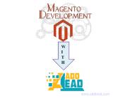 Magento ecommerce development company in Delhi