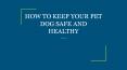 HOW TO KEEP YOUR PET DOG SAFE AND HEALTHY PowerPoint PPT Presentation