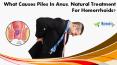 What Causes Piles in Anus, Natural Treatment for Hemorrhoids? PowerPoint PPT Presentation