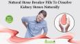 Natural Stone Breaker Pills to Dissolve Kidney Stones Naturally