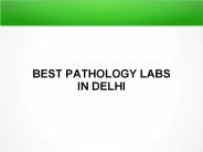 Vitamin d profile test in delhi