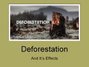 Deforestation and It's Effects