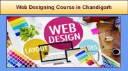 Web Designing Course in Chandigarh (2)