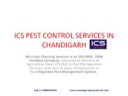 Pest Control Services in Chandigarh