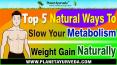 Top 5 Natural Ways To Slow Your Metabolism | Weight Gain Naturally PowerPoint PPT Presentation