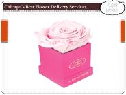 Chicago's Best Flower Delivery Services (2)