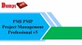 PMP PDF Dumps