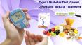 Type 2 Diabetes Diet, Causes, Symptoms, Natural Treatment PowerPoint PPT Presentation