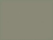 ISCOM 354  course Marvelous Learning / snaptutorial.com