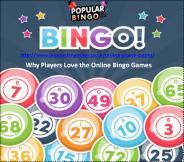 Why Players Love the Online Bingo Games