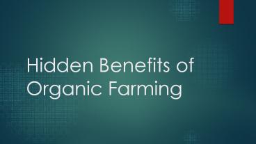 Hidden Benefits of Organic Farming