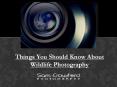 Things You Should Know About Wildlife Photography PowerPoint PPT Presentation