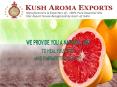 100% Pure Natural Essential Oils Exporter From Kannauj, India PowerPoint PPT Presentation