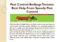 Pest Control Bedbugs Toronto: Best Help From Speedy Pest Control PowerPoint PPT Presentation