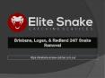 Eastern Brown Snake (Pseudonaja textilis) PowerPoint PPT Presentation