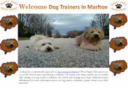 Dog Training in Marlton