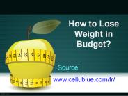 How to Lose  Weight in  Budget?