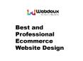 Best and Professional Ecommerce Website Design PowerPoint PPT Presentation