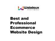 Best and Professional Ecommerce Website Design