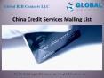 China Credit Services Mailing List PowerPoint PPT Presentation