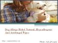 Bets and Natural hypoallergenic wipes for dogs and cat PowerPoint PPT Presentation