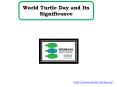 World Turtle Day and Its Significance PowerPoint PPT Presentation