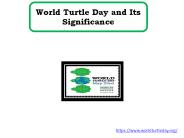World Turtle Day and Its Significance