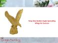 Feng Shui Golden Eagle Spreading Wings for Success PowerPoint PPT Presentation