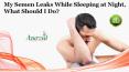 My Semen Leaks While Sleeping at Night, What Should I Do? PowerPoint PPT Presentation