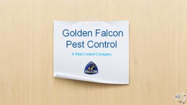 Best pest control company in Dubai & Sharjah