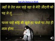 Amazing Sad Life Status in Hindi for Whatsapp (3)