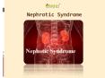 Nephrotic Syndrome: Causes, Symptoms and Treatment (1) PowerPoint PPT Presentation