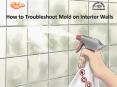 How to Troubleshoot Mold on Interior Walls PowerPoint PPT Presentation