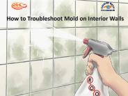 How to Troubleshoot Mold on Interior Walls