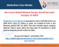 Burn Care Market Size, Trend and Research 2024 PowerPoint PPT Presentation