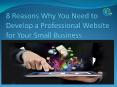 8 Reasons Why You Need a Professional Website for Your Small Business - Fraction Tech PowerPoint PPT Presentation