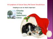 10 Symptoms of Cancer Every Pet Owner Should Know