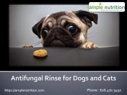 ANTIFUNGAL MEDICATED NATURAL PET WIPES