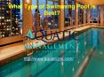 What Type of Swimming Pool is Best? PowerPoint PPT Presentation