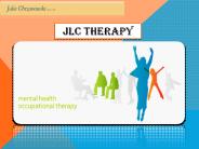 Platt Park Therapist