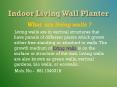 Green Wall In Delhi NCR PowerPoint PPT Presentation