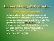 Green Wall In Delhi NCR